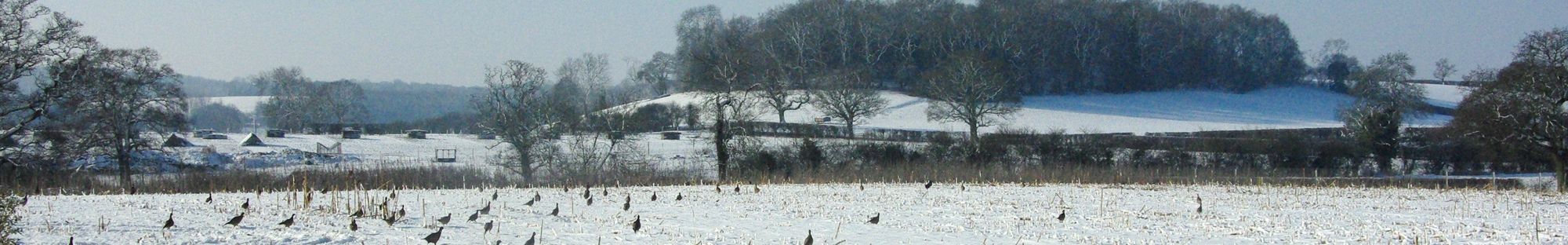 Heart of England Farms - Breeders of Quality Game Stock
